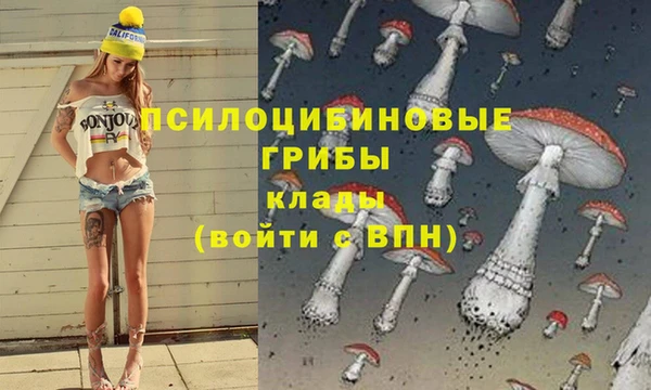 a pvp Костерёво