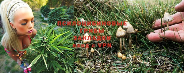 a pvp Костерёво