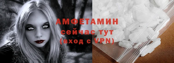 твердый Козельск